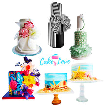 Load image into Gallery viewer, Watson &amp; Webb TS705a Edible Printer Set for Cakes